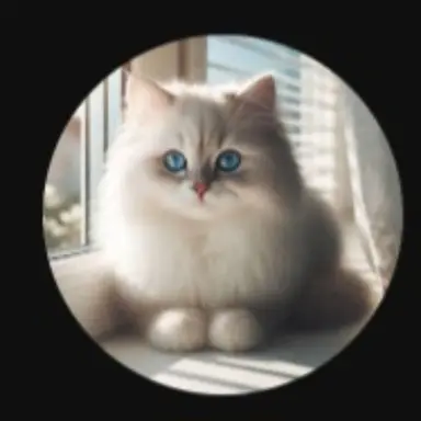 Profile image of 베디
