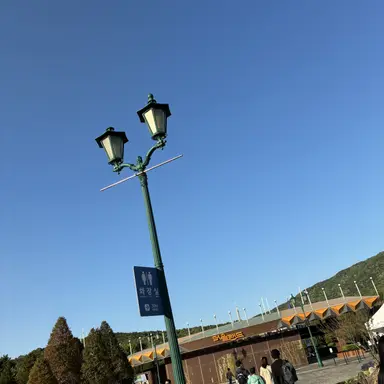 Profile image of 차무희