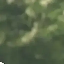 Profile image of 이지훈