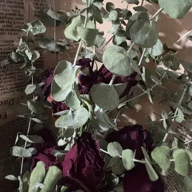 Profile image of 한태양