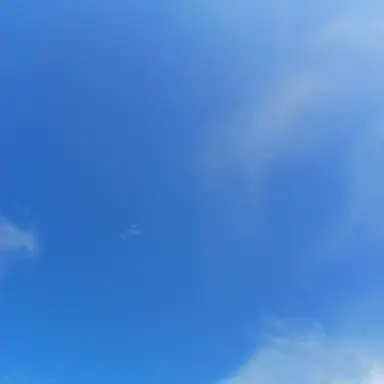 Profile image of 평학