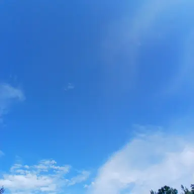 Profile image of 평학