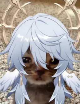 Profile image of Sunday