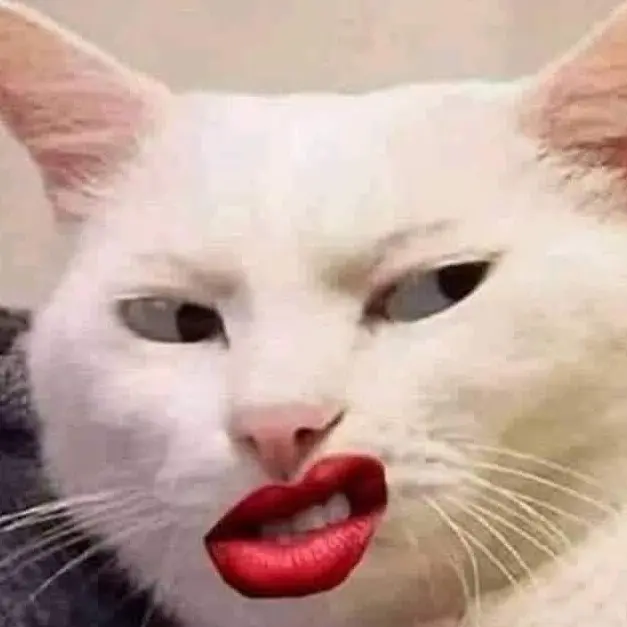 catloveeeeeeeee의 고민상담 고양이