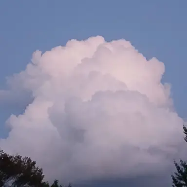 Profile image of 소멸