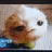 CJ7