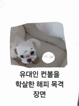 Profile image of 해피