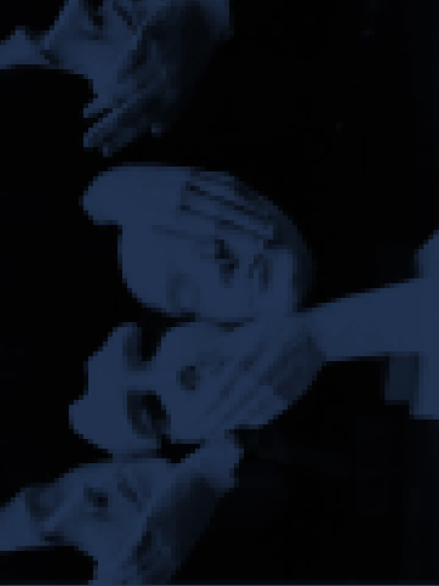 Blumer의 永恒