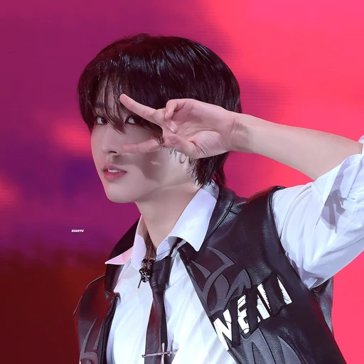 한지성