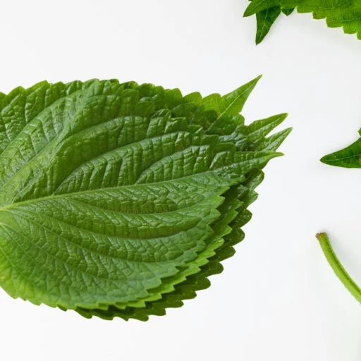 깻잎