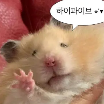 _RH의 여우짓 하는 여우에게 역으로 여우짓하기 (?)