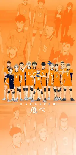 Profile image of 烏野高校