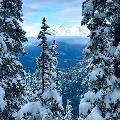 Profile image of 설