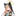 이오치 마리