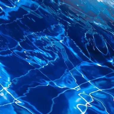 Profile image of ㅁㅈㅎ