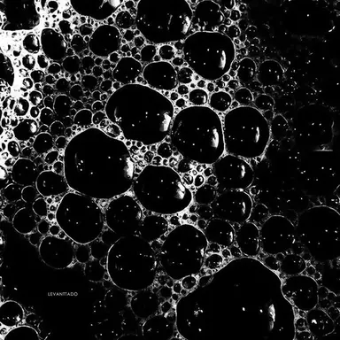 Profile image of 정현