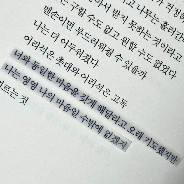 RonaLee0909의 귤에붙어잇는하얀거이름은귤락입니다