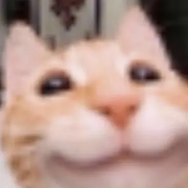 Profile image of Pocoloco