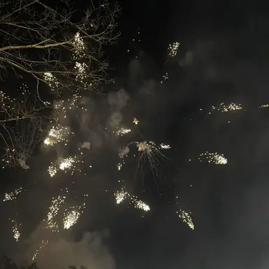 Profile image of 감제이