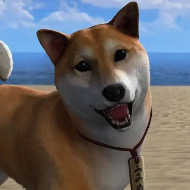 Profile image of マメ