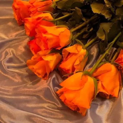 Para_dise의 하나하키병