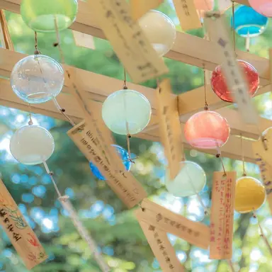 Profile image of 코마