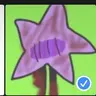 Profile image of Starry
