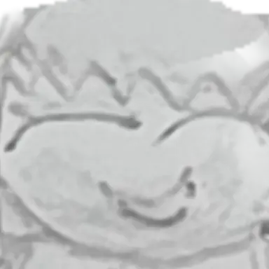 Profile image of セラ