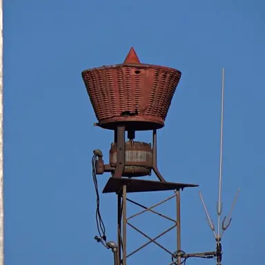 Profile image of 모델12