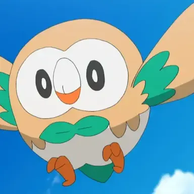 Profile image of 나몰빼미