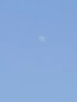 Profile image of 잠뜰