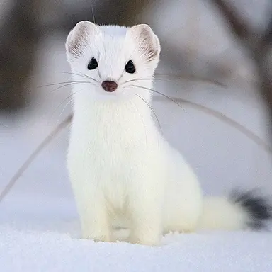 Profile image of ヒョンジン