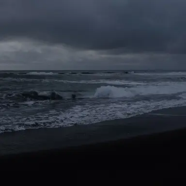 Profile image of 한현린