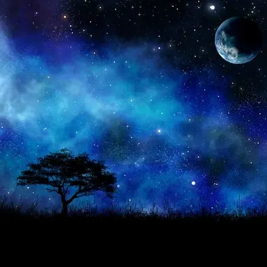 Profile image of 공룡