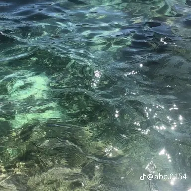 Profile image of 오픈채팅 위험한이유