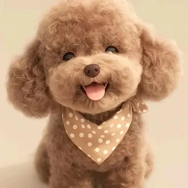 Profile image of 우주