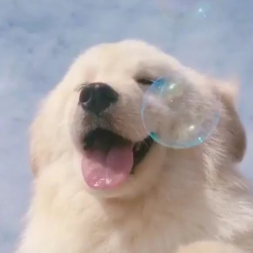 박덕개