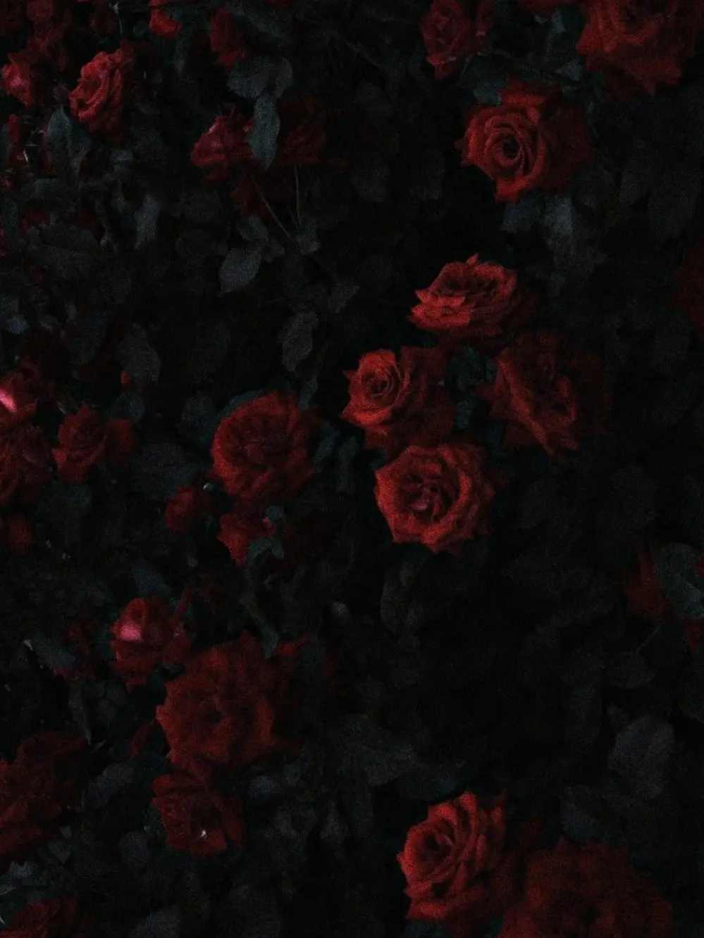 U_kz._.의 月夜に溺れる、禁断の夜