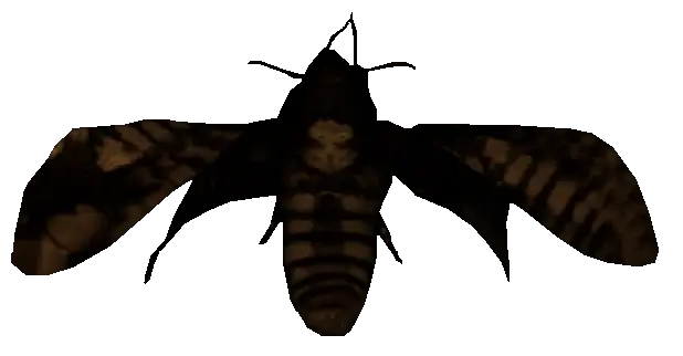 Profile image of Entities