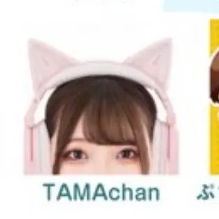 Profile image of たまチャンネル