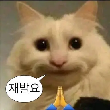 Profile image of 주인장