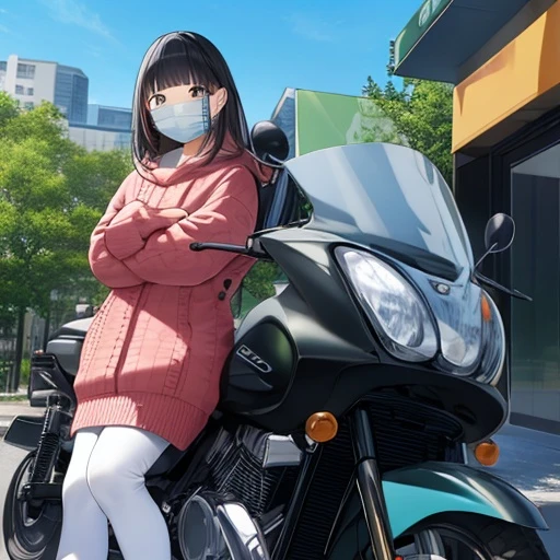 강단미