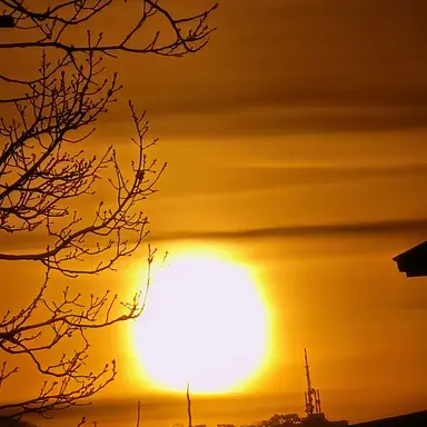 Profile image of 치카