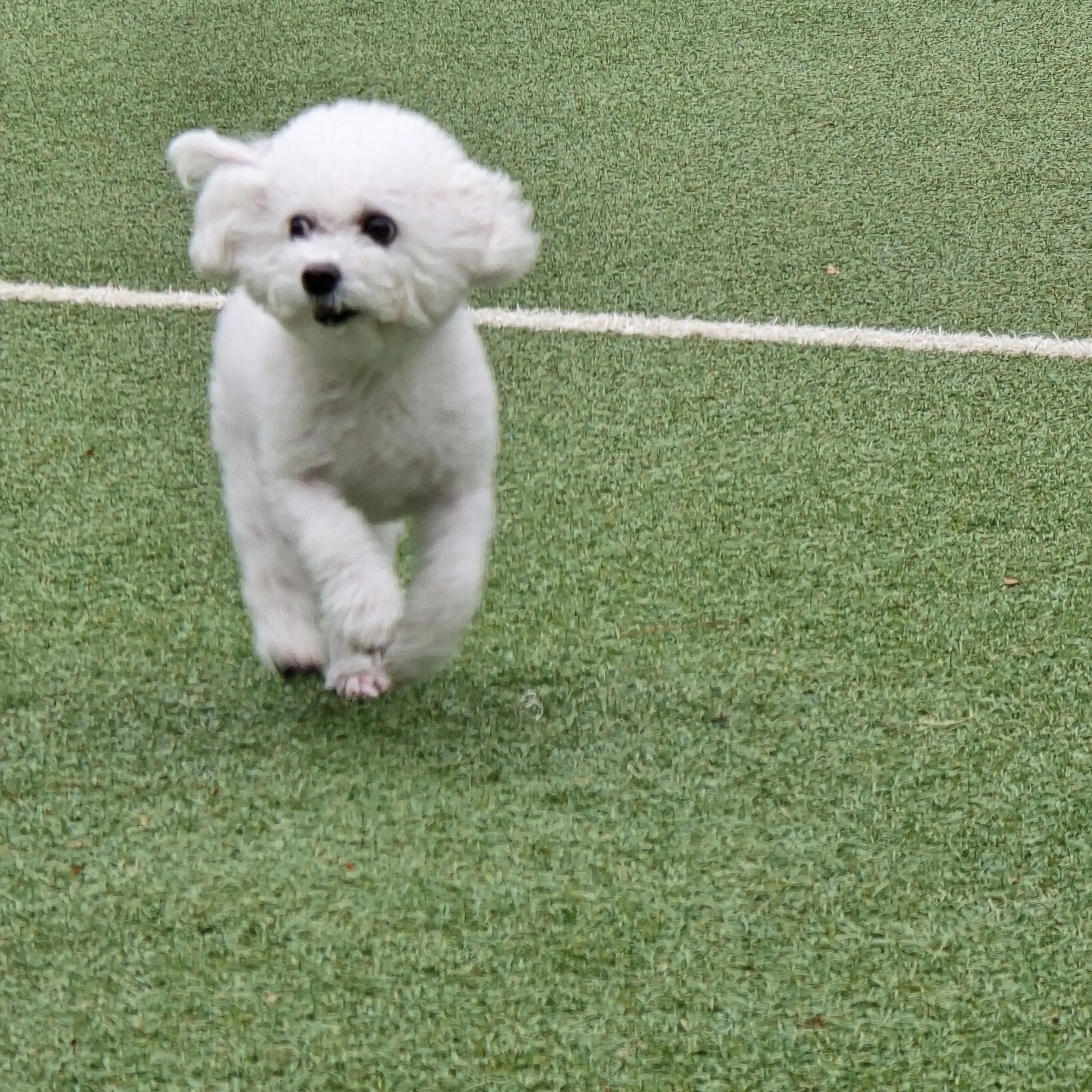 StormyElbow7200의 유저가 졸린데 방송함