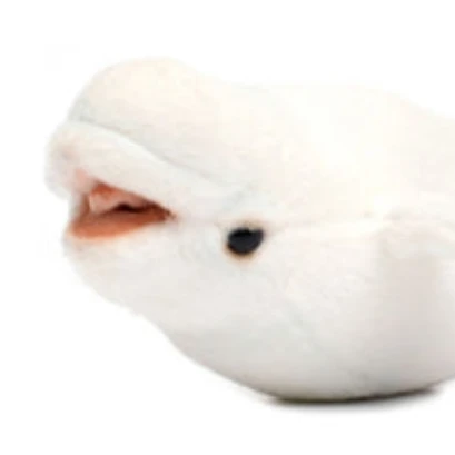 아쿠아리움 팝업