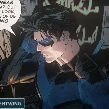 Profile image of Nightwing