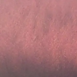 Profile image of 007n7