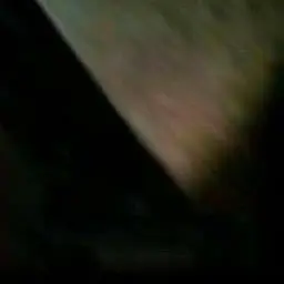 Profile image of 셰들레츠키