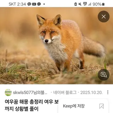 Profile image of 여우