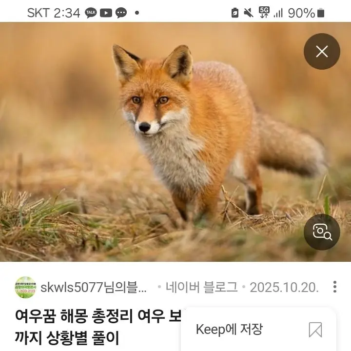RacialNews3152의 유저에게누명을씌우는여우